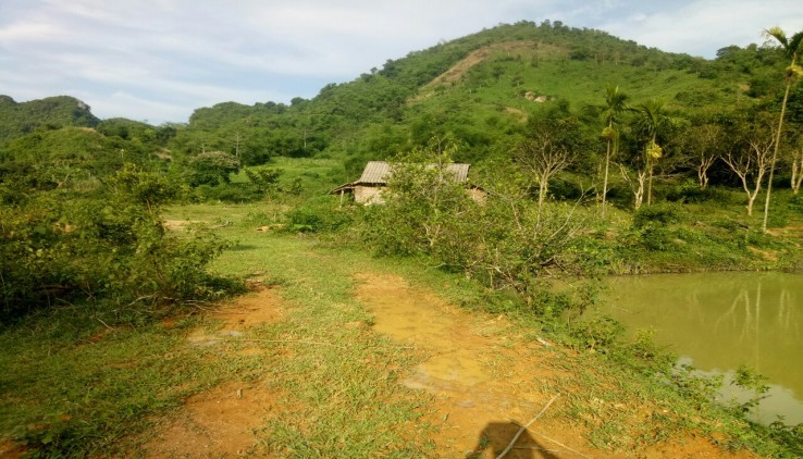 Bán đất Kỳ Sơn Hòa Bình, 4000m2 thổ cư + 1 ha đất rừng. Giá rẻ.